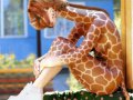 f_1230435255639_giraffe.jpg